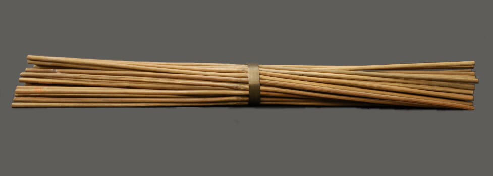 gymnastic apparatus, no. 16594
